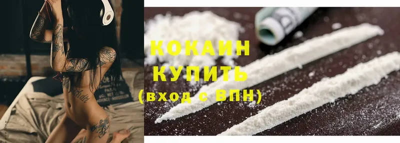 COCAIN Боливия  закладки  Каменногорск 